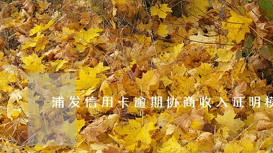 浦发信用卡逾期协商收入证明模板