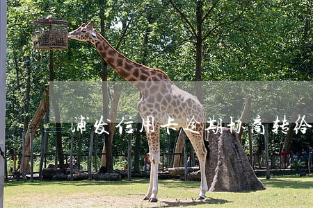 浦发信用卡逾期协商转给第三方 浦发信用卡逾期协商转给第三方