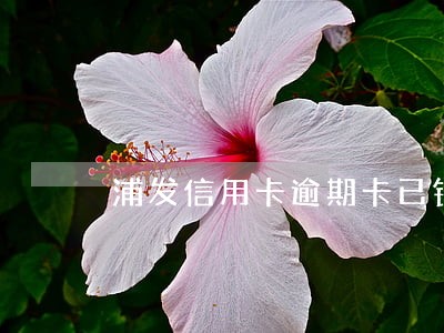 浦发信用卡逾期卡已销怎么还款