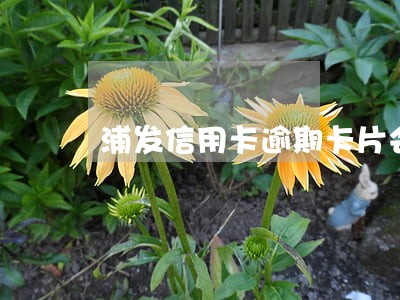 浦发信用卡逾期卡片会显示吗