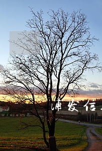 浦发信用卡逾期发信息叫我自首 浦发信用卡逾期发信息叫我自首