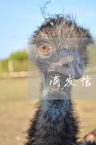 浦发信用卡逾期发消息限行 浦发信用卡逾期发消息限行