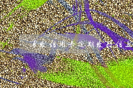 浦发信用卡逾期发短信上门 浦发信用卡逾期发短信上门
