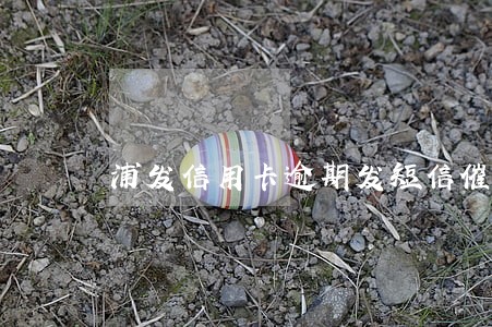浦发信用卡逾期发短信催收
