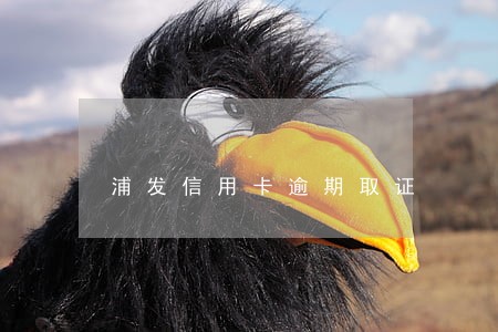 浦发信用卡逾期取证 浦发信用卡逾期取证