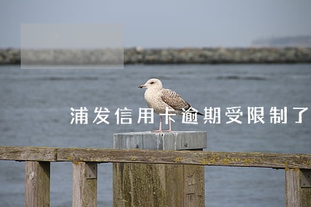 浦发信用卡逾期受限制了怎么办