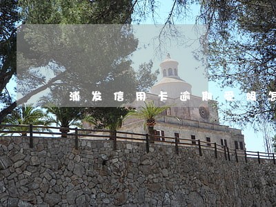 浦发信用卡逾期受限怎么解除 浦发信用卡逾期受限怎么解除