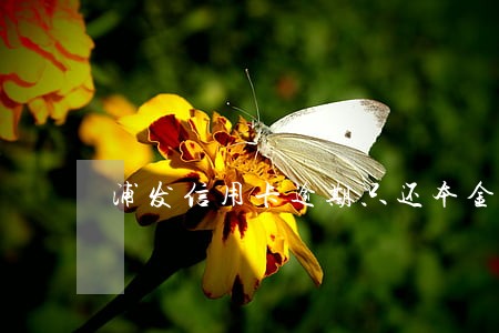 浦发信用卡逾期只还本金可以吗 浦发信用卡逾期只还本金可以吗