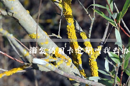浦发信用卡逾期叫我去协商