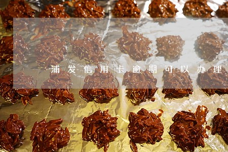 浦发信用卡逾期可以办理储蓄卡吗 浦发信用卡逾期可以办理储蓄卡吗
