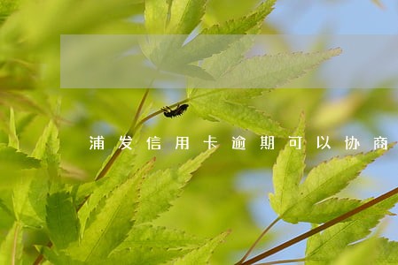 浦发信用卡逾期可以协商分期不