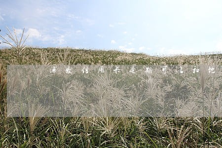浦发信用卡逾期可以和地商还款吗
