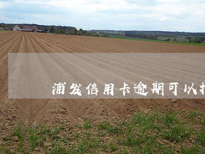 浦发信用卡逾期可以找银行协商 浦发信用卡逾期可以找银行协商