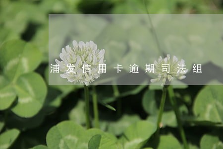 浦发信用卡逾期司法组 浦发信用卡逾期司法组