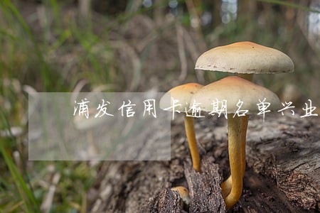 浦发信用卡逾期名单兴业