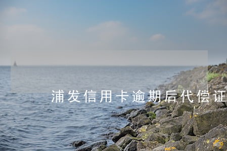 浦发信用卡逾期后代偿证明 浦发信用卡逾期后代偿证明