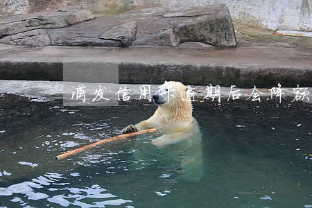浦发信用卡逾期后会降额度嘛