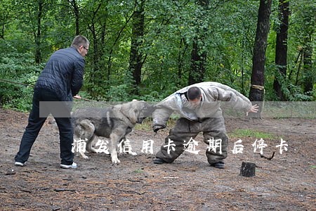 浦发信用卡逾期后停卡 浦发信用卡逾期后停卡