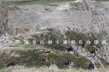 浦发信用卡逾期后办理借记卡 浦发信用卡逾期后办理借记卡