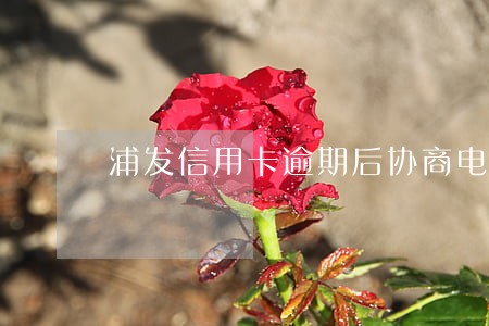 浦发信用卡逾期后协商电话 浦发信用卡逾期后协商电话