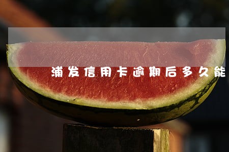 浦发信用卡逾期后多久能协商