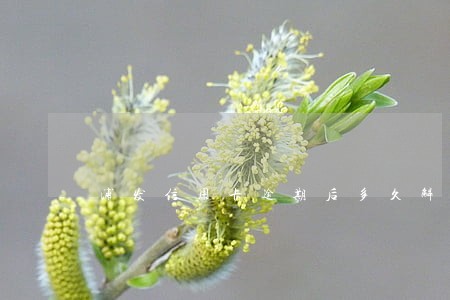 浦发信用卡逾期后多久解除 浦发信用卡逾期后多久解除