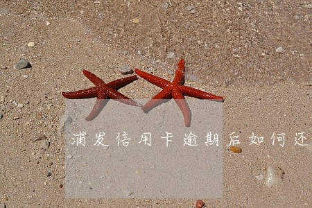 浦发信用卡逾期后如何还款 浦发信用卡逾期后如何还款