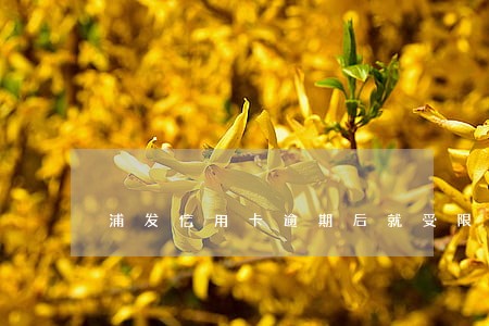 浦发信用卡逾期后就受限了 浦发信用卡逾期后就受限了