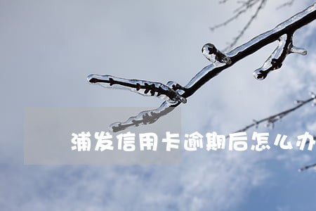 浦发信用卡逾期后怎么办 浦发信用卡逾期后怎么办