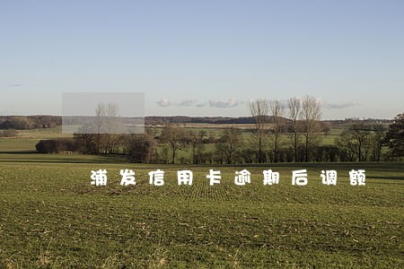 浦发信用卡逾期后调额