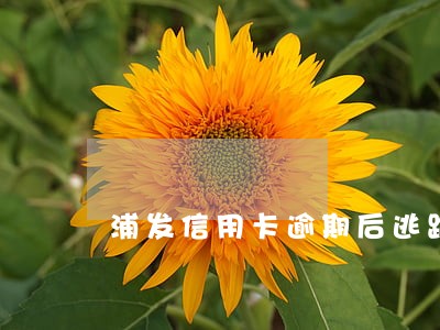 浦发信用卡逾期后逃跑