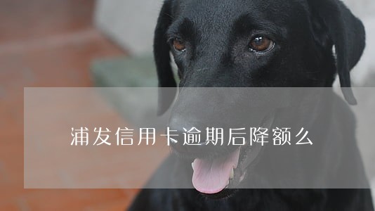 浦发信用卡逾期后降额么