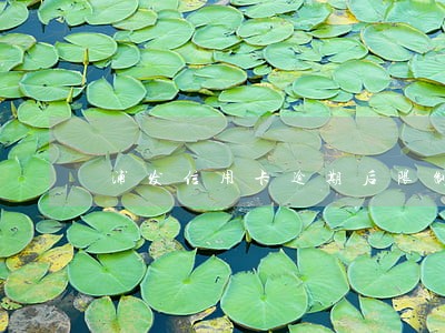 浦发信用卡逾期后限制 浦发信用卡逾期后限制