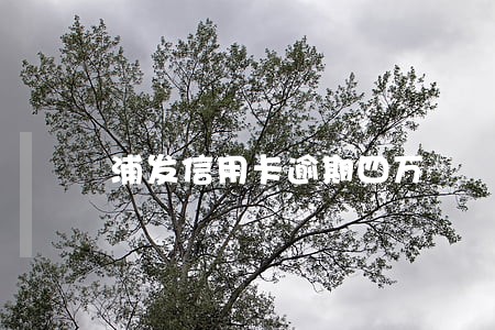 浦发信用卡逾期四万 浦发信用卡逾期四万