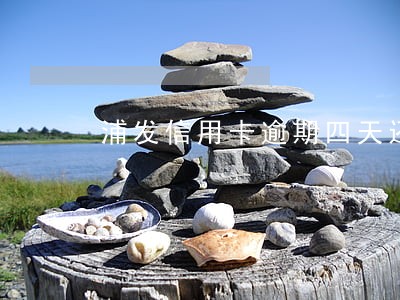 浦发信用卡逾期四天还款 浦发信用卡逾期四天还款
