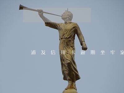 浦发信用卡逾期坐牢案例 浦发信用卡逾期坐牢案例