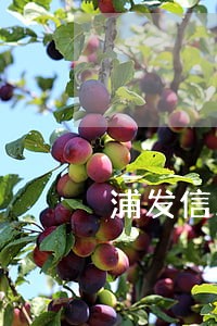 浦发信用卡逾期处理方式