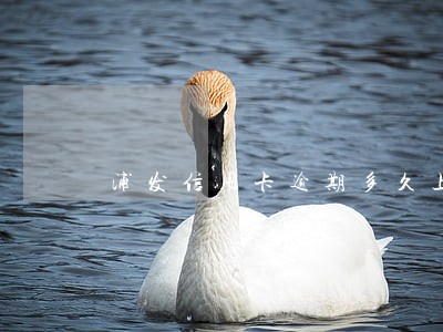 浦发信用卡逾期多久上征信记录