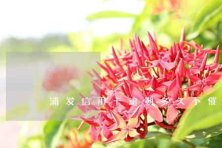 浦发信用卡逾期多久不催了 浦发信用卡逾期多久不催了
