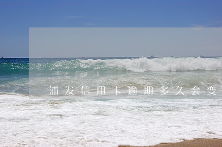 浦发信用卡逾期多久会变呆账 浦发信用卡逾期多久会变呆账