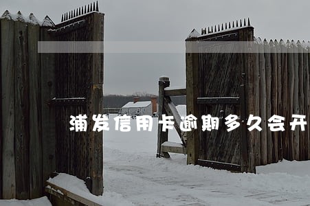 浦发信用卡逾期多久会开除