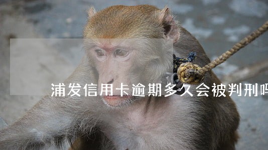 浦发信用卡逾期多久会被判刑吗