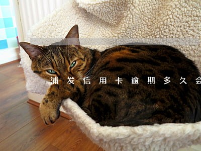 浦发信用卡逾期多久会被起吗 浦发信用卡逾期多久会被起吗