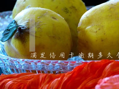 浦发信用卡逾期多久全额还