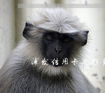 浦发信用卡逾期多久客服打电话 浦发信用卡逾期多久客服打电话