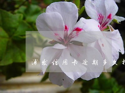 浦发信用卡逾期多久打联系人 浦发信用卡逾期多久打联系人