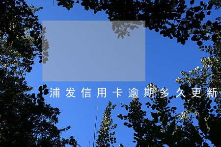 浦发信用卡逾期多久更新的征信 浦发信用卡逾期多久更新的征信