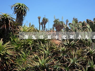 浦发信用卡逾期多久立案