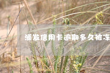 浦发信用卡逾期多久被冻结
