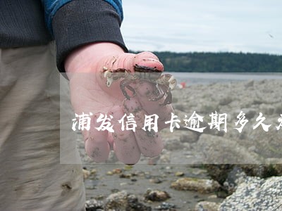 浦发信用卡逾期多久走流程 浦发信用卡逾期多久走流程